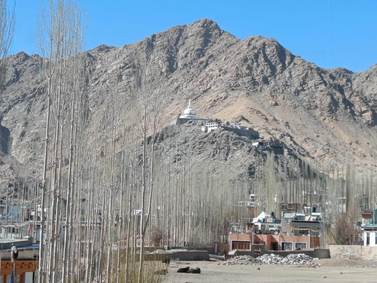 Glacier View Guest House Leh Exterior photo