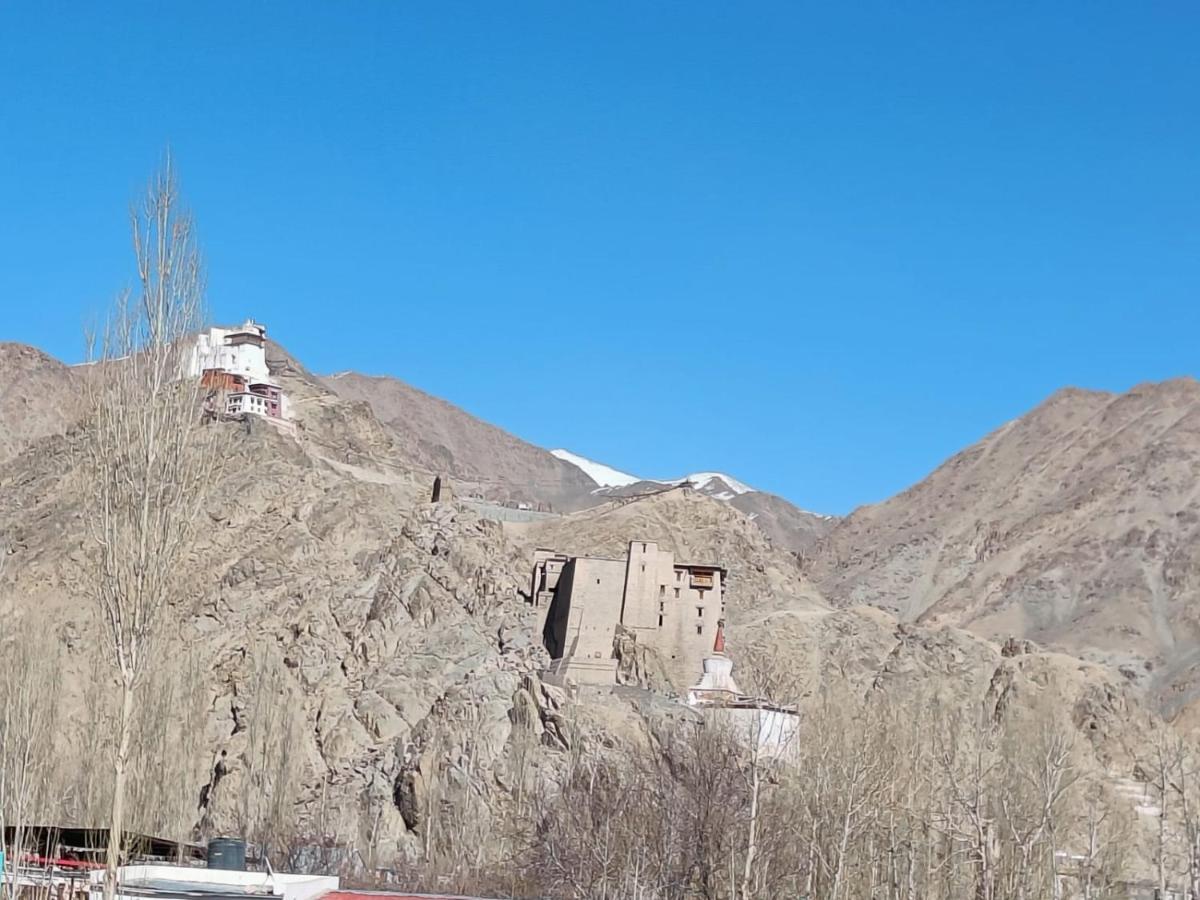 Glacier View Guest House Leh Exterior photo